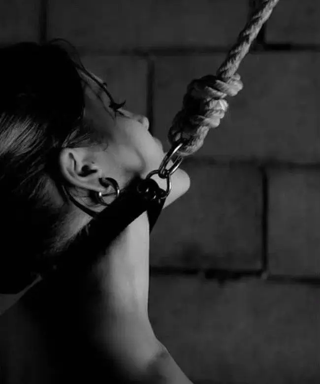 西檬之家tickle是什么?它在字母圈中扮演怎样的角色? 一