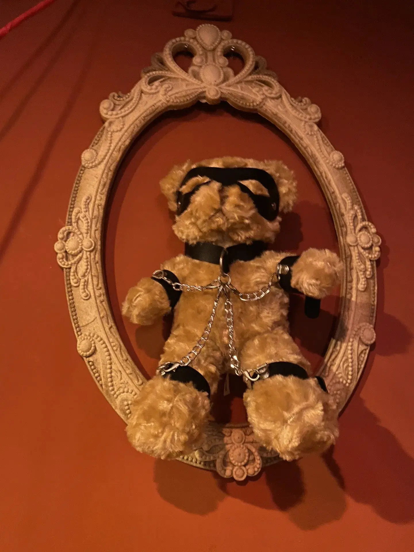 西檬之家字母圈的小圈是什么?加入前你需要了解的秘密 一