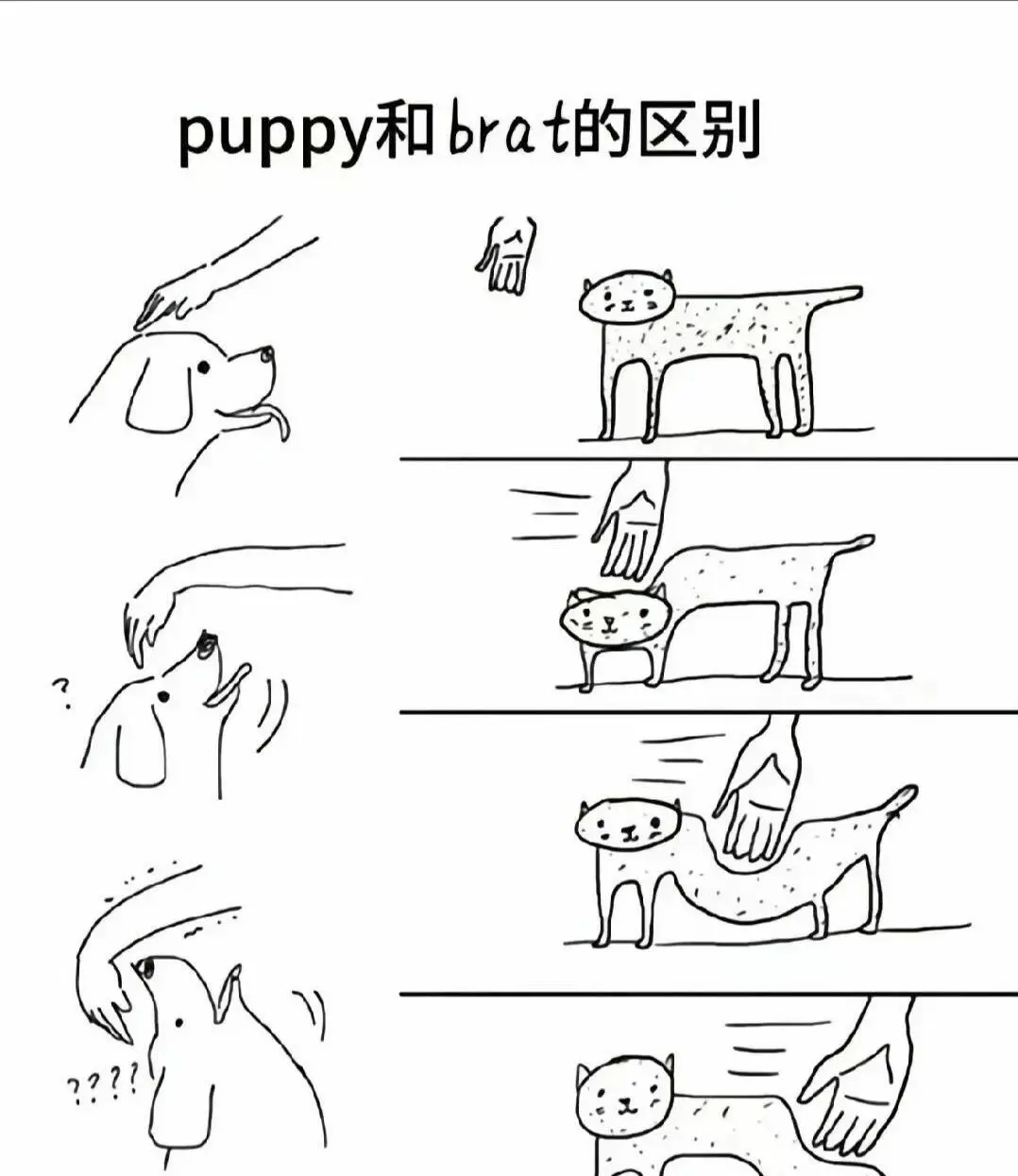 西檬之家字母圈switch究竟是什么?揭秘你的多重角色体验 一