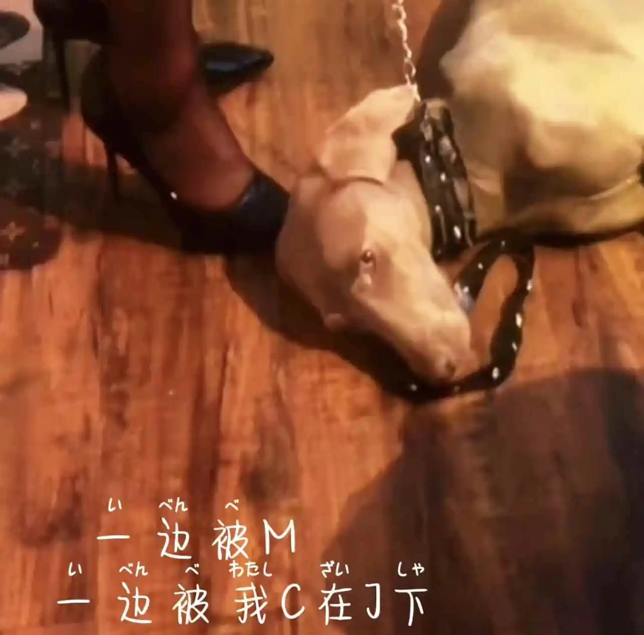 西檬之家什么是恋物癖?字母圈新人入圈 一
