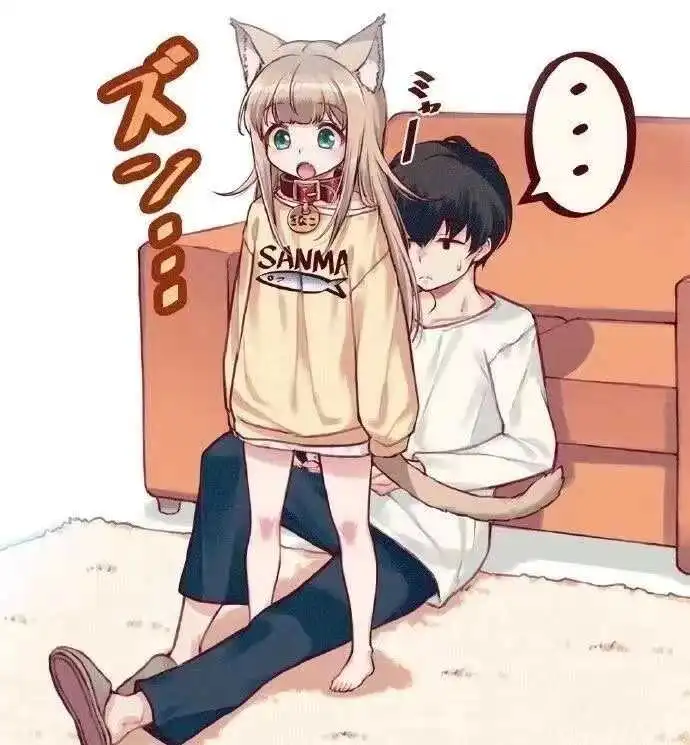 西檬之家k8猫系是什么?字母圈新人入圈 一