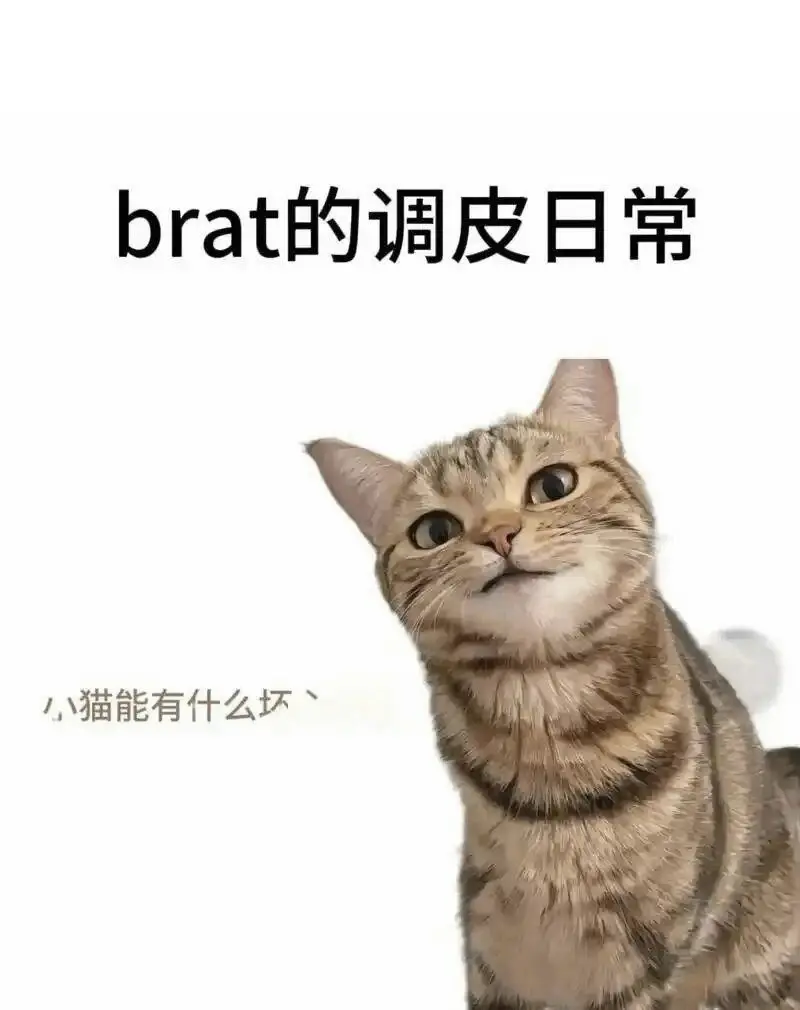 西檬之家字母圈的小圈是什么? 一