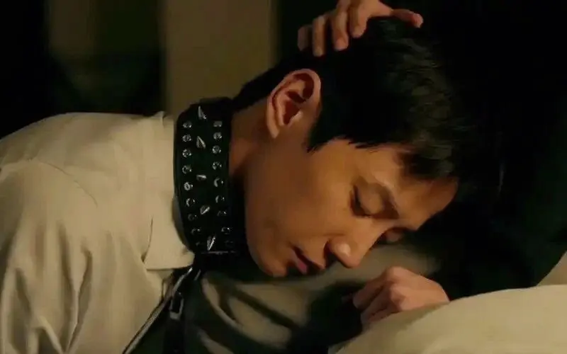 西檬之家TS是什么意思? 一