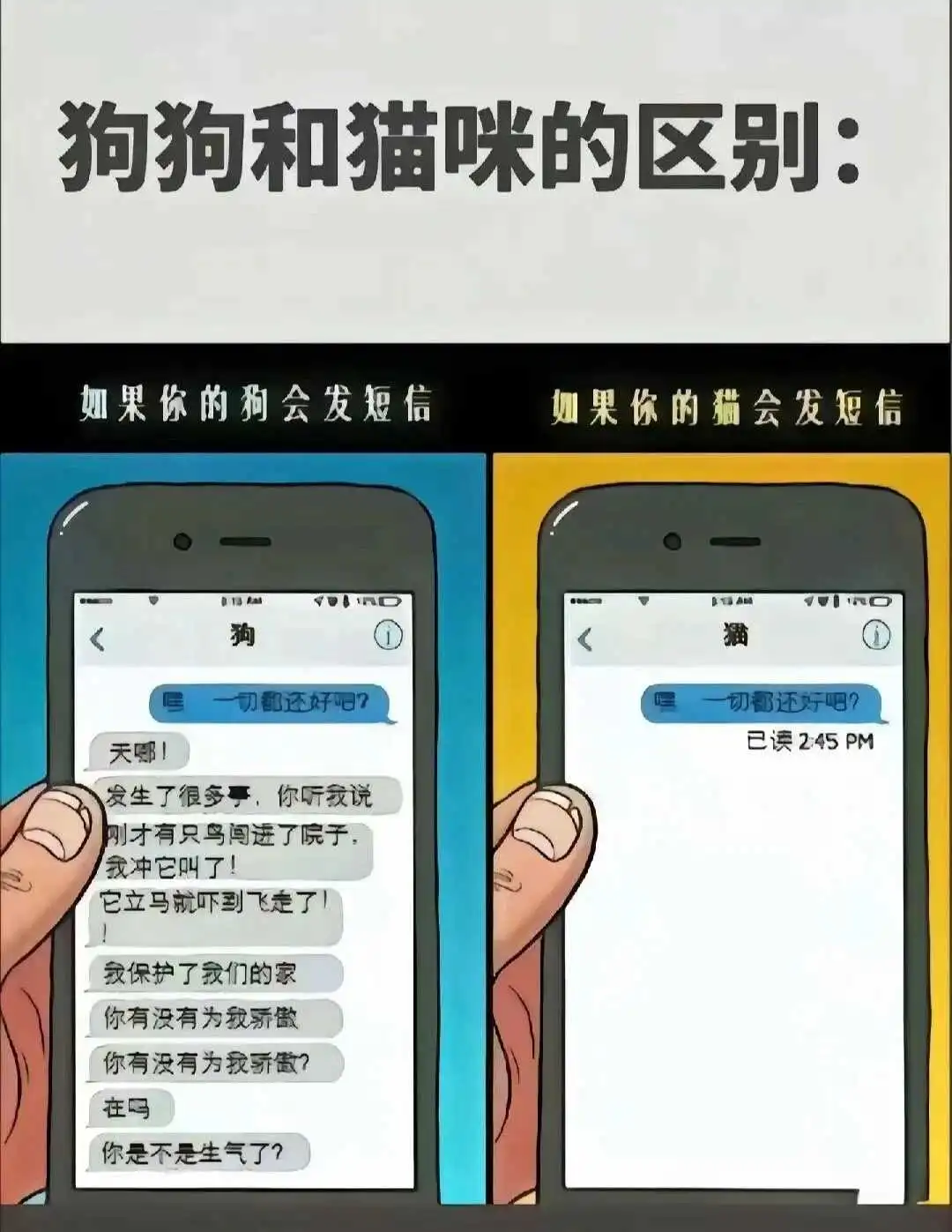 西檬之家字母圈的大圈是什么? 一