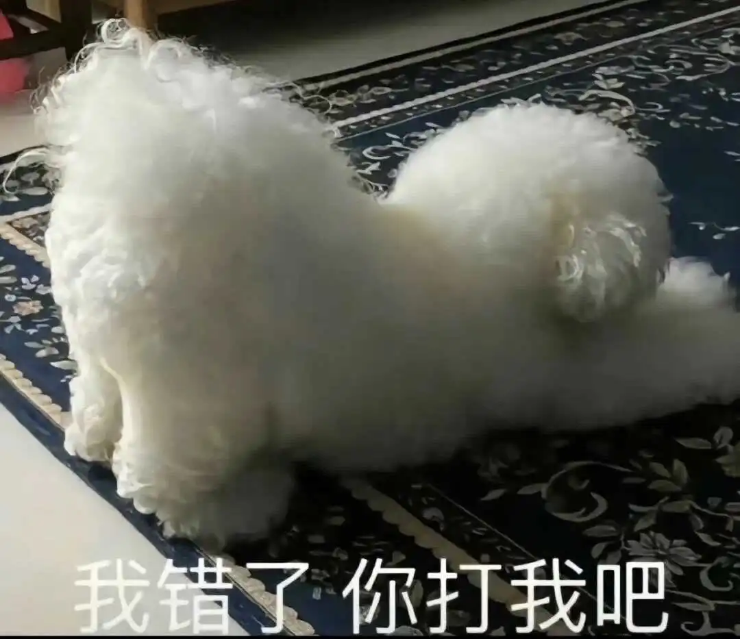 西檬之家Tickle是什么?字母圈新手必读 一