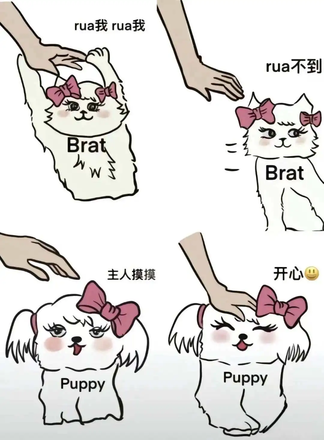 西檬之家恋物癖是什么?字母圈新人入圈指南 一