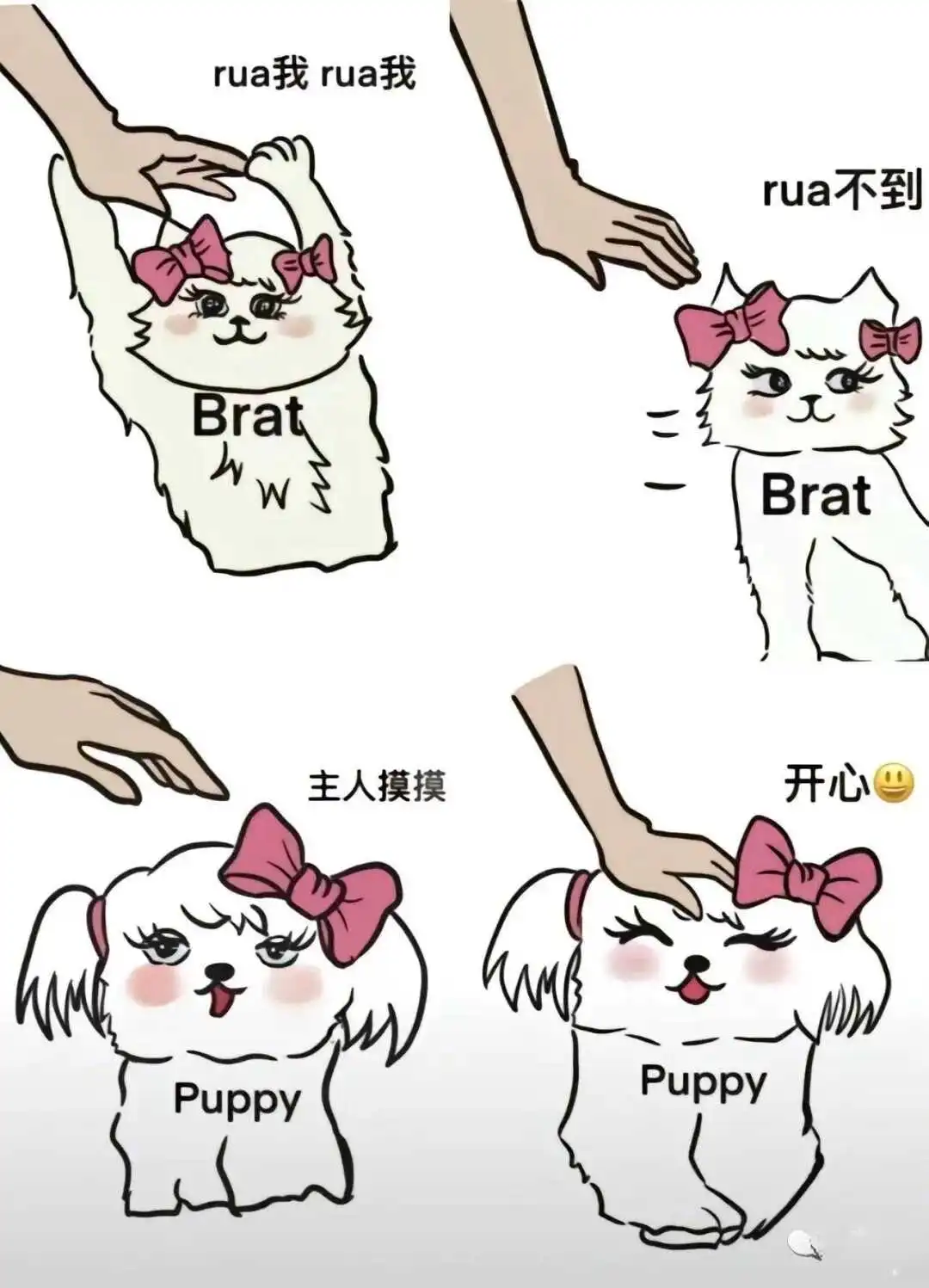 西檬之家ddlg是什么?字母圈新人入圈 一