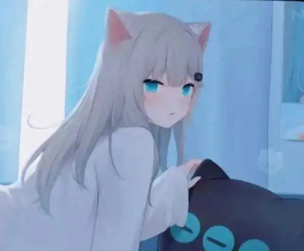 西檬之家字母圈的Sub是什么意思? 一